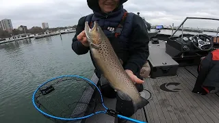 Milwaukee Brown Trout