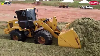 Fazenda Sonho Real em Terenos MS - Coneagro e Produmais