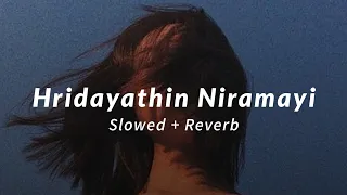 Hridayathin Niramayi | Slowed +Reverb | 100 Days Of Love