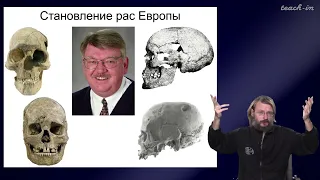 Дробышевский С.В. - Антропология - 11. Человеческие расы. Европа