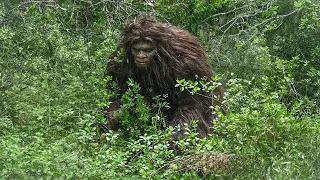 Bigfoot: The Mystery DEEPENS - New Discoveries That Will Change Everything | Marathon