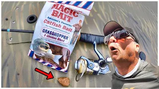 A Simple Way To Catch Catfish With Magic Bait From Walmart