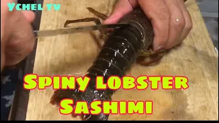 Spiny Lobster Sashimi //DIY 伊勢海老