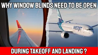 Why Do Window Blinds Need To Be Open During Takeoff & Landing?