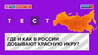 Где и как в России добывают красную икру?