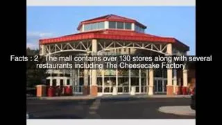 Willow Grove Park Mall Top  #9 Facts