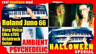 Roland JUNO 60 mod Ambient Psychedelic HALLOWEEN Korg VOLCA Bass ELKA X705 tubbutec juno66 #44