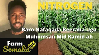 NITROGEN: Baro Nafaqada Beeraha Ugu Muhiimsan Mid Kamid Ah