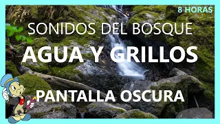 SONIDO de AGUA💧 y GRILLOS🦗 del bosque [PANTALLA NEGRA] 8 HORAS😲😲