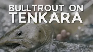 Bull Trout on Tenkara - Episode 14 Western Native Trout Challenge