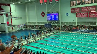 2019 SEC Swim Championships Men’s 50 Free Final