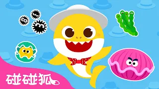 鯊魚寶寶的白色帽子 👒 學顏色 🌈 最新 鯊魚寶寶 顏色兒歌 color songs 色彩學習 | 臺灣配音 兒歌 童謠  | Baby Shark Doo Doo 碰碰狐 Pinkfong!