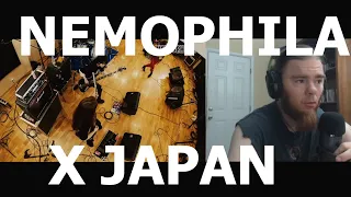 NEMOPHILA / X JAPAN  紅KURENAI   (REACTION!!)