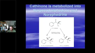 New Psychoactive Substances (NPS): Synthetic Stimulants/Synthetic Cannabinoids