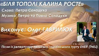 БІЛЯ ТОПОЛІ КАЛИНА РОСТЕ - Олег ГАВРИЛЮК (із репертуару польсько-українського гурту ЕНЕЙ (Enej ))