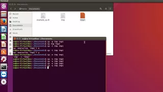 Linux команда cp - копирование файлов и папок на Ubuntu