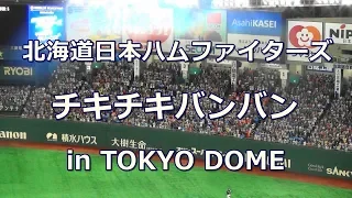 【歌詞付き】チキチキバンバン 北海道日本ハムファイターズ チャンステーマ in TOKYO DOME