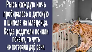 Рысь каждую ночь шипела на малыша. Когда родители поняли почему, потеряли дар речи