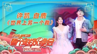 单曲：画面太甜 许凯白鹿合体唱情歌《世界上另一个我》《2019湖南卫视春节联欢晚会》 Hunan Spring Festival Gala【湖南卫视官方HD】