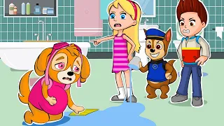 Paw Patrol The Mighty Movie | Poor Baby Skye Pregnant and Bad Chase 💔Paw Patrol Sad Story |Rainbow 3