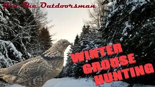 Tips on how to hunt Grouse in winter