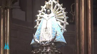 Misa en vivo - Memoria de Santa Marta, María y Lazaro.