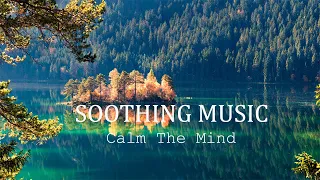 Soothing Relaxing Music Stop Anxiety, Calm The Nervous System 🐦 Deep Sleep & Relax With Bird Sing