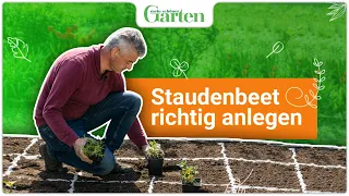 Staudenbeet anlegen | Anleitung für ein blühendes Beet