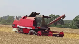 Massey Ferguson 27 Combine Harvester Harvesting Wheat