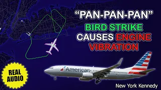 Engine vibration due to bird strike. American Boeing 737 returns to New York Kennedy. Real ATC