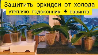 Как защитить орхидеи зимой от холода на подоконнике | 4 варианта как утеплить подоконник для орхидей