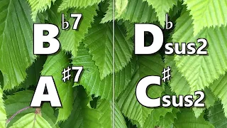 Bb7 (A#7) to Dbsus2 (C#sus2) Backing Track