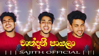 Chandani Payala | චාන්දනී පායලා | B & S Cover by | Sajith Nissanka | 2024