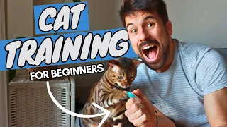 How to Train a Cat | EASY BEGINNER CAT TRAINING TUTORIAL | my secret