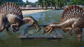 2 T-Rex & 2 Spinosaurus Breakout & Fight! Jurassic World Evolution (4K 60FPS)