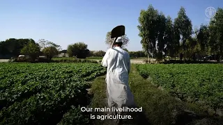 A new irrigation canal in Batikot, Nangarhar