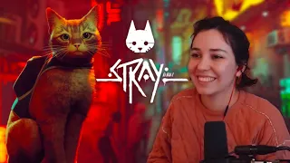 The game that lets you be cat (stray)