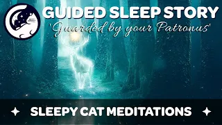 Guarded by your Patronus - Guided Sleep Story for Healing, Gratitude and Self-Love (Harry Potter)