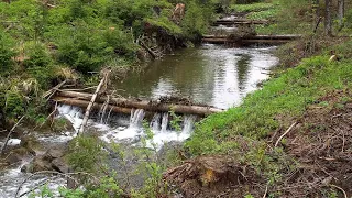 How to make wooden log dams ?