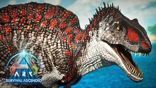 How to TAME a ACROCANTHOSAURUS | ARK: Ascended
