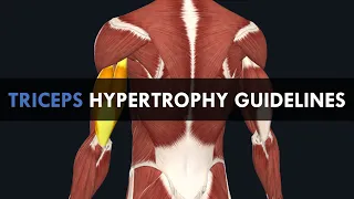 Triceps Hypertrophy Training Guidelines | How to Train the Triceps for Maximum Growth