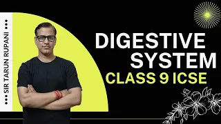 Digestive System One Shot | Digestive System ICSE Class 9 | @sirtarunrupani