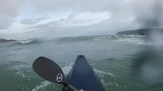 Surf yak