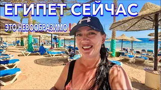 Египет 2024. Как ТУТ СЕЙЧАС⁉️Island View Resort 5*. РИФ и ПЛЯЖ в бухте ШАРКС Бей. Шарм Эль Шейх