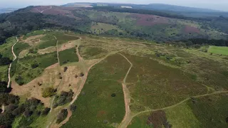 Lydeard Hill / Wills Neck - Quantock Hills of Somerset