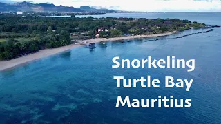 Snorkeling Review  - Turtle Bay South Entry, Balaclava Mauritius