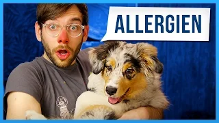 Allergien töten dich! [feat. LeFloid]