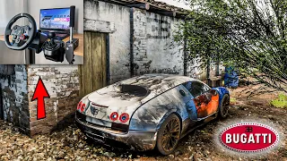 Rebuilding A Bugatti Veyron | Forza Horizon 5 | Logitech g29 gameplay