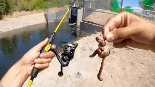 Spillway Fishing w/ WORMS!! (Surprising Catch!)