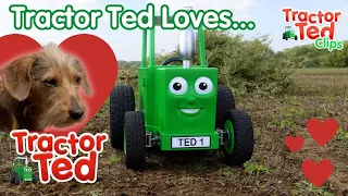 What Does Tractor Ted Love On The Farm? | Valentines Day 💖 | Tractor Ted Official